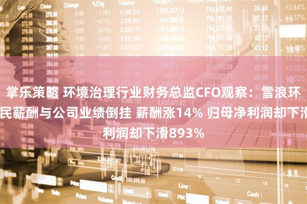 掌乐策略 环境治理行业财务总监CFO观察：雪浪环境王惠民薪酬与公司业绩倒挂 薪酬涨14% 归母净利润却下滑893%