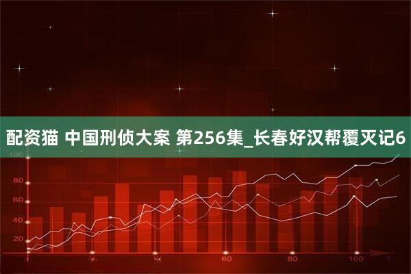 配资猫 中国刑侦大案 第256集_长春好汉帮覆灭记6